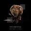 Painkiller - Single