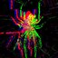arachna