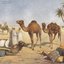 Arabische Nächte