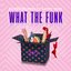 What The Funk (feat. Danny Shah) - Single