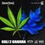 Cali 2 Canada - Single