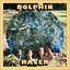 Dolphin Racer - Single