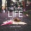 This Is the Life