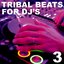 Tribal Beats for DJ's - Vol. 3