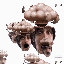 Avatar de Edde3098