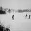 domestic tapes Vol​.​II