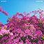 Berenar sopar - Single