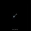La pelle - Single