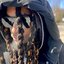 Baked Chicken - EP