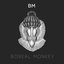 Bm - Single