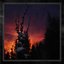 Nocturnal Womb - Single
