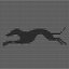Greyhound