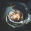 Vortex - Single