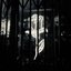 Cage