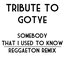 Somebody That I Used To Know: Tribute to Gotye (Remix Miami Reggaeton Version 2012)