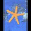 13th Star (FHC036SE)