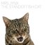 The Standoffish Cat (ZIQ207CD)