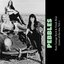 Pebbles: Rare Garage Rock & Freak Beat Gems of the 60s, Vol. 2