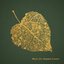 Music for Autumn Lovers