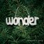 Wonder