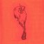 sofocón - Single