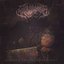 Resonance of Defiled Remnants