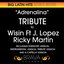 Adrenalina - Tribute To Wisin, Jennifer Lopez & Ricky Martin