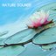Nature Sounds - Nature Music for Sleep, Yoga and Relaxation
