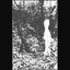The Solitary Ghost