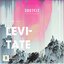 Levitate (feat. Tylor Maurer)