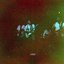 Fragments - Single