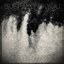 Buffalo Bayou - Single