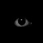 Avatar di shoegazefan