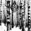 The Magnificence Silence Of Death