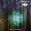 Spirits of Ancient Trees