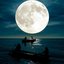 Moonlight - Single