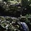 Honeycomb - Single
