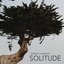 Solitude