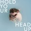 Hold Your Head Up