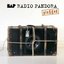 Radio Pandora (plugged)