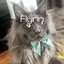 Flynn