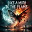 LIKE A MOTH TO THE FLAME - Single