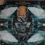 The Occult Explosion
