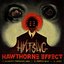 Hawthorne Effect