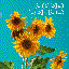 Good Songs