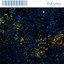 Rebirth - Single