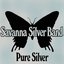 Pure Silver
