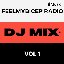 FeelMyBicep Radio, Vol. 1 (DJ Mix)