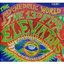 The Psychedelic World Of The 13th Floor Elevators [UK] Disc 1
