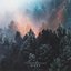 Dust - Single